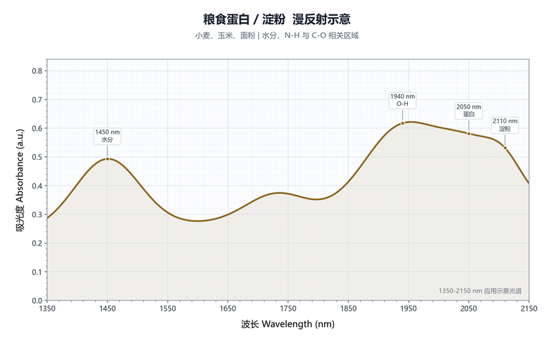 粮食蛋白淀粉示意图